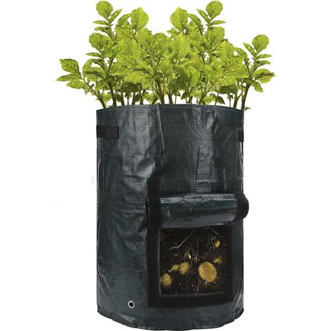 Cultivez des aliments biologiques sur votre véranda avec Gro-Sack (1/4)