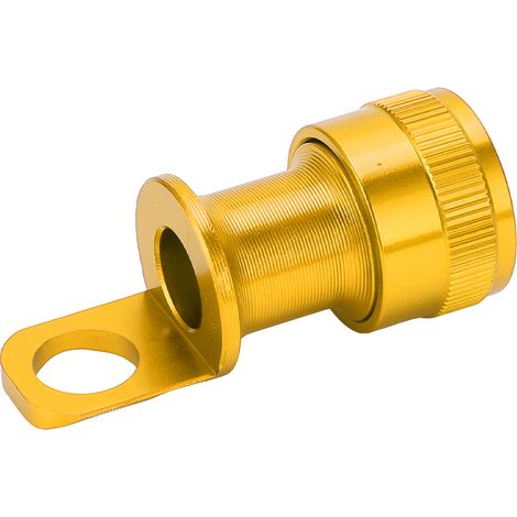 Support de Pédale Rapide Litepro pour Vélo Brompton, Fixation de Selle Dorée (1/5)