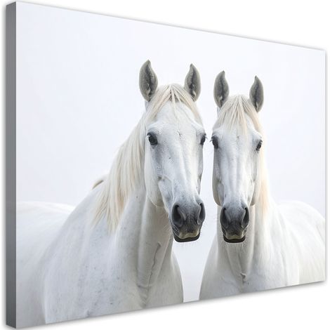 Tabelau sur Toile, Deux chevaux blancs animaux nature,30x20 (1/4)