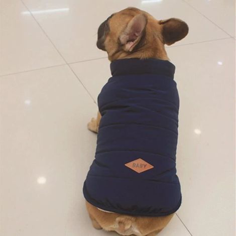 Vêtements d'hiver pour chiens - ZGEER - Bulldog - Doublée polaire - Boutonnée - XXL, bleu (1/4)
