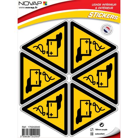 Planche 6 Pictogrammes Triangle 100mm - Danger Batteries - 4242040