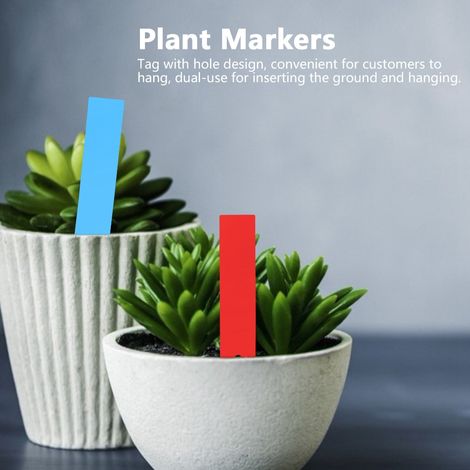 100 PVC-Etiketten für Blumentöpfe, Markierungen für Garten- und Baumschulsetzlinge (blau, rot) (1/5)