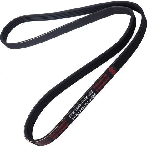 CINGHIA POLARE PK 5PK1245 (1/2)