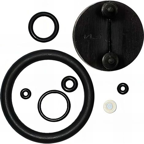 Ribimex – Kit joints pour pulvérisateur à pression – Version agressive – Pour pompes 5/7/10 litres – Matériaux résistants aux produits chimiques