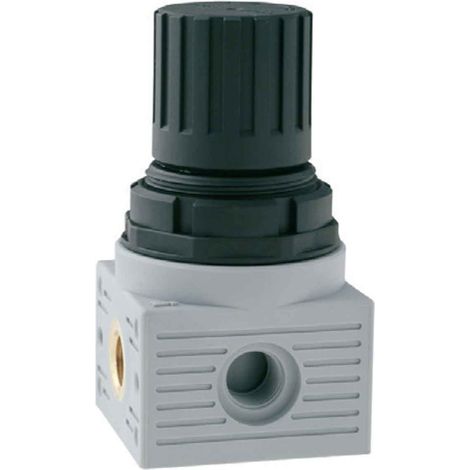 Régulateur RS PRO T020-MINI, G 1/4 vers G 1/8, 0bar 12bar ( Prix pour 1 )