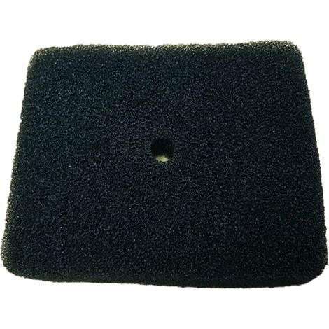 Esponja F.Aire compatible con Zsqf1  Ref 976043