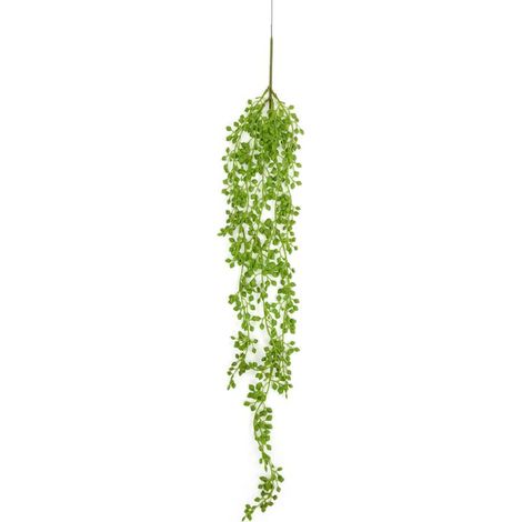 Plantes succulentes artificielles suspendues, faux collier de perles pour décoration murale, maison et jardin (longueur : 75 cm) (1/4)