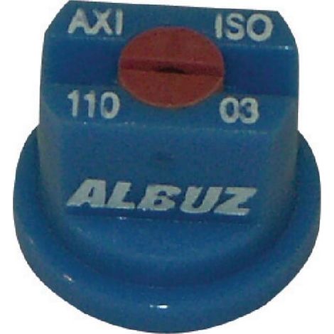 Buse ALBUZ AXI11003