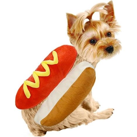 Costumi per animali domestici, costumi da hot dog, salsicce da bassotto, costumi e accessori cosplay regolabili, abiti caldi, disegni di cuccioli carini, taglia L (1/4)