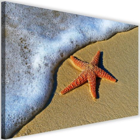 Tableau déco Étoile de mer Plage Sable 60x40 (1/5)