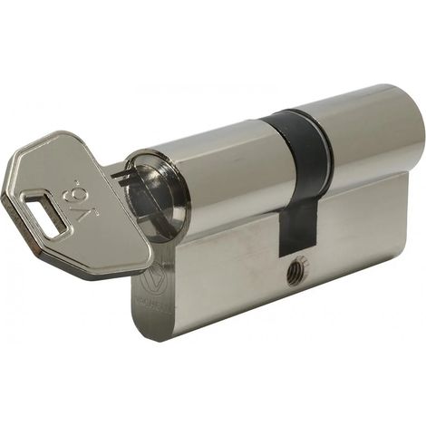 Vachette – Cylindre de serrure nickelé V6 30x30 mm – 6 goupilles pour sécurité renforcée – 4 clés réversibles pour accès facilité