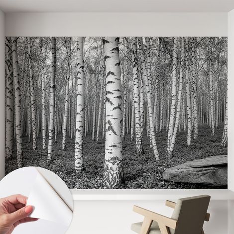 Tapete adhésive moderne pour salon et chambre à coucher Décoration rapide avec colle Forêt de bouleaux 152x104 cm (1/5)