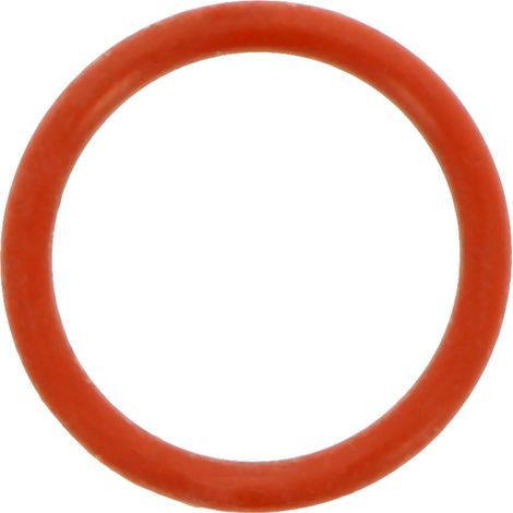 O-ring per valvola direzionale FENDT F916961022050 6088
