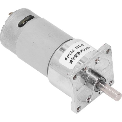 DC24V Getriebemotor, selbsthemmender Schneckengetriebemotor mit zentraler Welle, CW/CCW 42F555, 300 U/min (1/5)