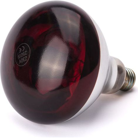 HENDI Infrarot-Glühlampe, Rot, 230V/250W, ⌀125x(H)170mm (1/3)