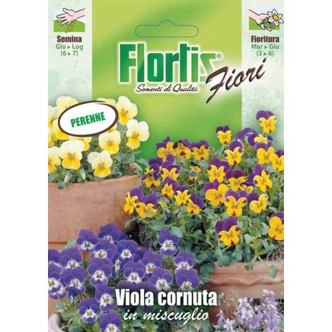 VIOLA CORNUTA MIX