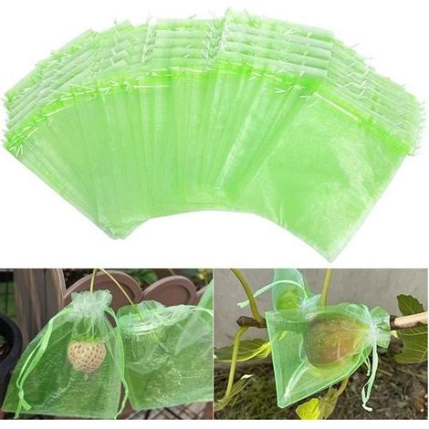 100 Sac Protection Fruits Sacs Filets Protection des Raisins Grappes Contre Les Guêpes et Oiseaux Insectes 20 x 15 cm (1/4)