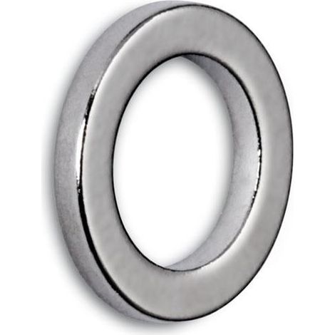 Neodym-Ringmagnet Silber 12 mm 10 Stück