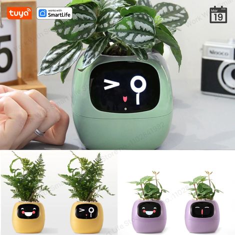 (Violet) Tuya Gen1 Ivy Smart Potager : plus de 49 expressions différentes, 7 capteurs intelligents et des puces d’IA pour un jardinage facile et amusant. (1/4)