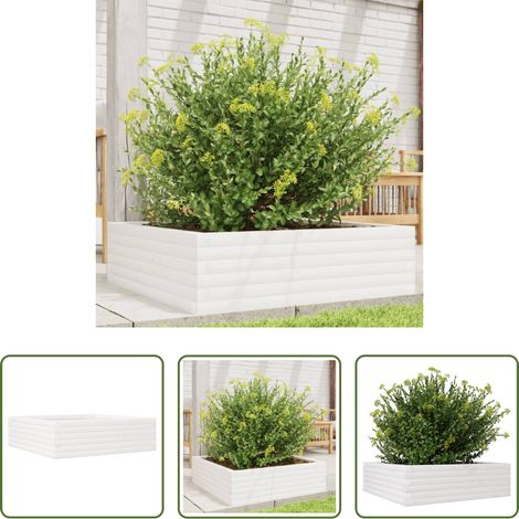 vidaXL Fleurs -  Jardinière blanc 80x80x23 cm bois de pin massif (1/5)