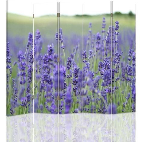 Paravento bilaterale, Il fascino di un campo di lavanda - 180x170 (1/5)