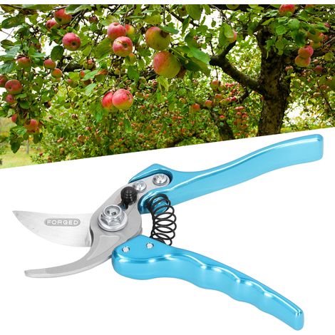 Hochwertige Gartenscheren, Gartenscheren, Gartengeräte (1/5)
