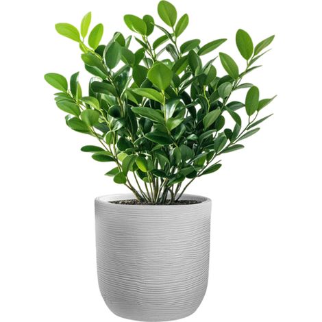 Vaso in resina da esterno interno per piante cilindro di design d.35x34h Raffaello Bianco (1/4)