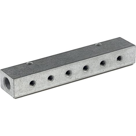 Riegler Verteilerleiste, Abgänge einseitig, Eingang 2x3/8, Ausgang 6x1/8 (1/4)