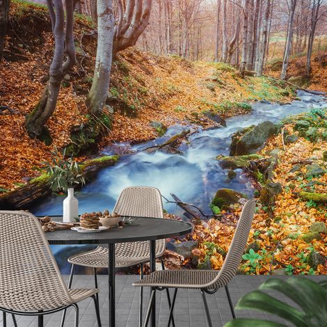 Papier peint panoramique - Rivière Forêt - 260 cm x 173 cm (1/4)