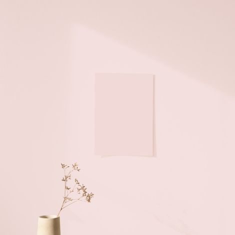Échantillon (1/3)