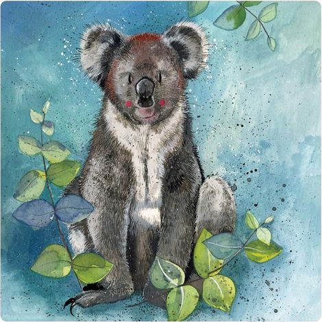 Aimant Koala FM209