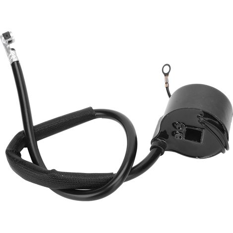 Module de bobine d'allumage haute tension de remplacement, compatible avec Tecumseh 30560a 13513990 (1/5)