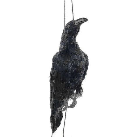 Corbeau mort suspendu réaliste, taille réelle, extra noir, oiseau à plumes noires (1/5)