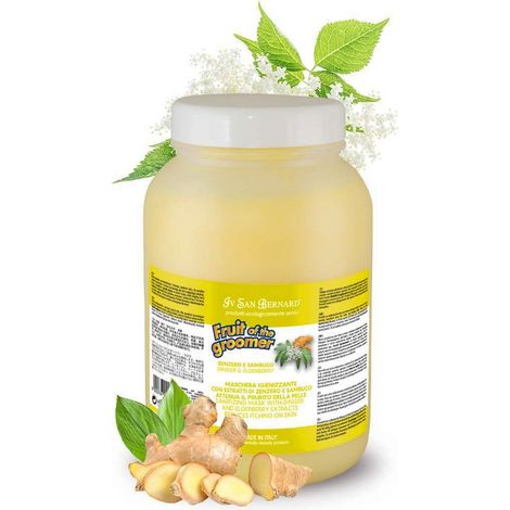 CONDITIONER FRUCHT DES GROOMERS INGWER UND HOLUNDER 1 LITER EXCLUSIVES ANGEBOT