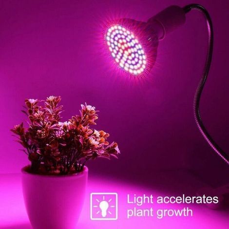 Ampoule LED plante E27 30W spectre complet – 7 longueurs d’onde (1/4)