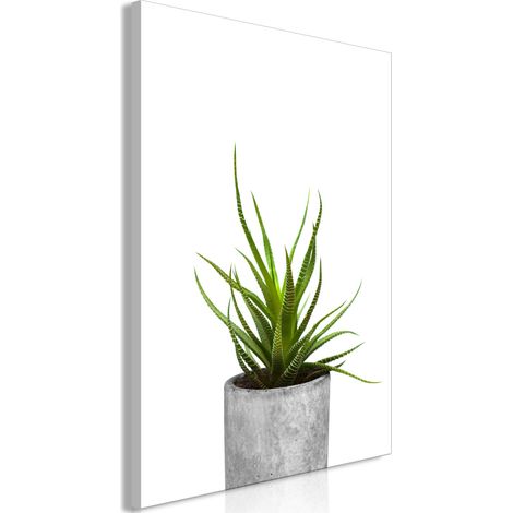 Quadro - Haworthia (1 Part) Vertical - 80x120 (1/4)