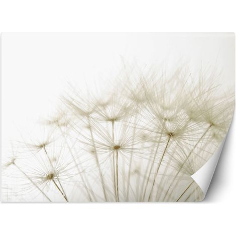 Fototapete Pusteblume Makro Beige 250x175 cm (1/5)