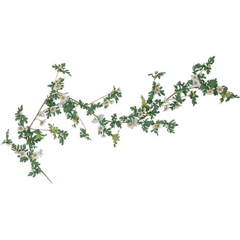 Girlanden aus frischen und eleganten Gänseblümchen schmücken die Wände [weiße Gänseblümchengirlanden] (1/2)
