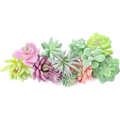 Lot de 12 mini plantes succulentes artificielles floquées réalistes pour travaux manuels, gâteaux, fêtes, décoration intérieur/extérieur (sans pot, PVC, détails réalistes) (1/5)