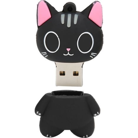 Clé USB 16GB avec Motif Chat Mignon - Stockage pour Photos, Musique, Films - Cadeau Pratique (1/5)