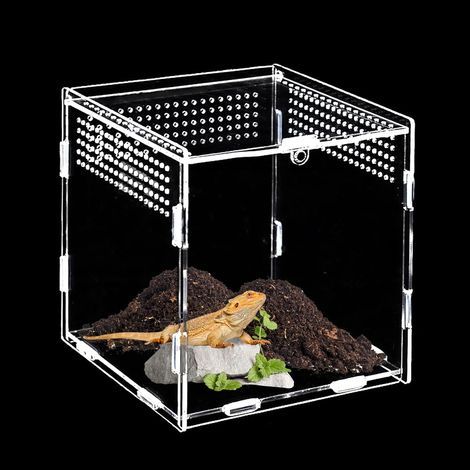 Acryl-Terrarium, transparent, 15x15x15 cm, belüftet, für die Reptilienzucht (1/5)