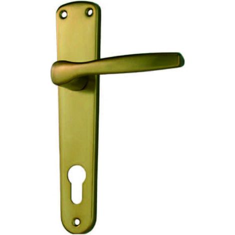 Maniglia alu con placca in alluminio bronzato foro yale