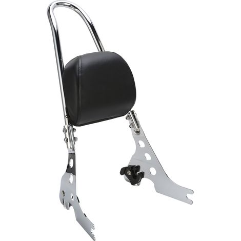 Abnehmbares Ersatz-Rückenlehnenkissen für Motorrad-Soziusfahrer (XL1200R XLH1200, Baujahre 2004–2019), elektrolytisch verchromt, silber (1/5)