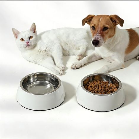 Stainless Steel Cat Dog Bowls Non-Slip Anti-Spill Bowl Cream White (1/5)