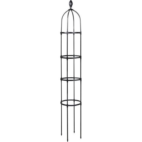 Arche de Jardin Résistante pour Plantes Grimpantes, Support Extérieur en Métal