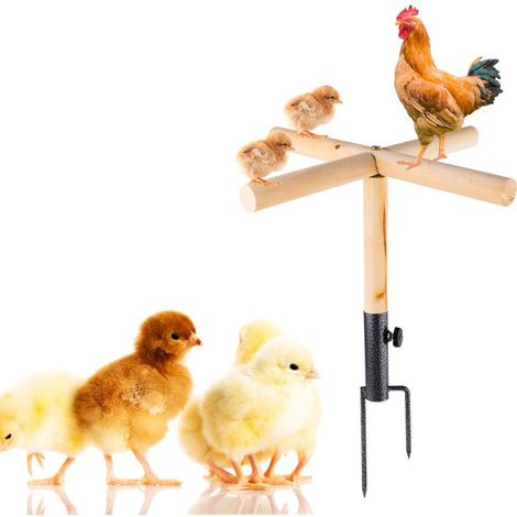 Perchoir pour Poulailler, Support en Bois pour Poulailler avec Prise de Terre en Métal Solide Perchoir pour Poulet Jouets pour Poulailler Accessoires pour Poulailler pour Poule et Poussin (1/5)