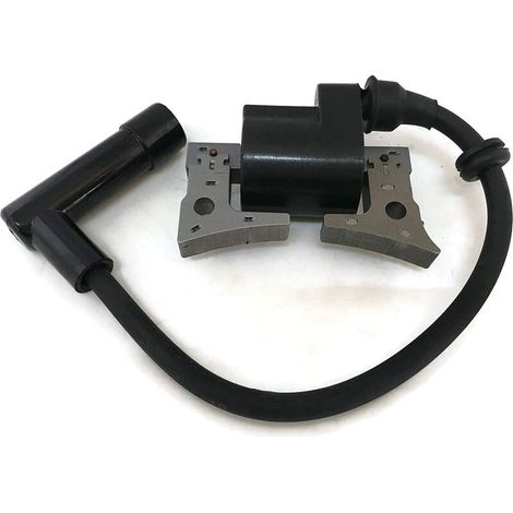 Bobina di accensione per motore tosaerba Robin EX13 EX17 EX21 277-79431-01 (1/5)