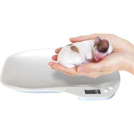 Mini balance numérique pour animaux de compagnie 15 kg/1 g, écran LCD, pour chats, chiots, hamsters, précise et compacte, rechargeable et facile à utiliser (1/5)