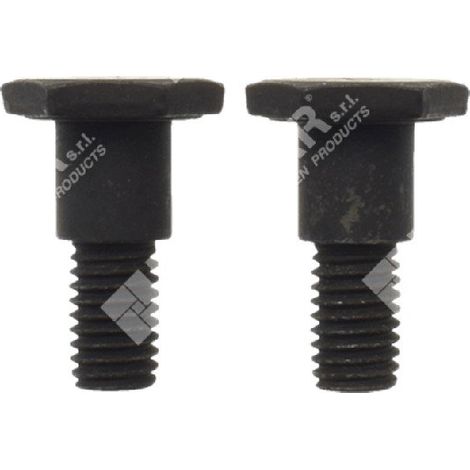 Set Viti frizione per decespugliatori PROGREEN - 047989