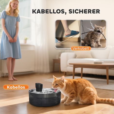 Fontaine pour chat 7L avec pompe ultra-silencieuse, éclairage LED, filtre au charbon, inox, 30,6 x 30,6 x 17,2 cm (1/4)